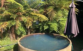 Whare&Geothermal Pool By Lake Taupo